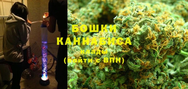 гидропоника Каменка