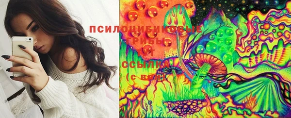 гидропоника Каменка