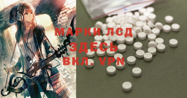 гидропоника Каменка