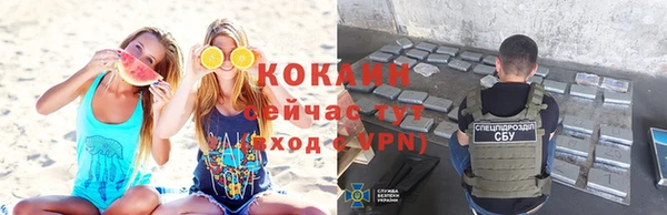 гидропоника Каменка