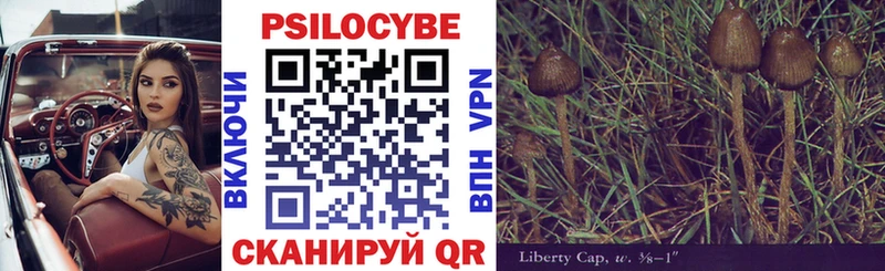 Псилоцибиновые грибы мицелий  Пермь 